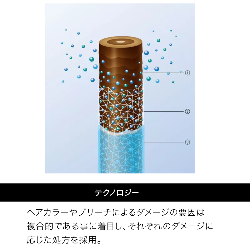 SHISEIDO（資生堂） プロフェッショナル プリミエンス ブリーチ