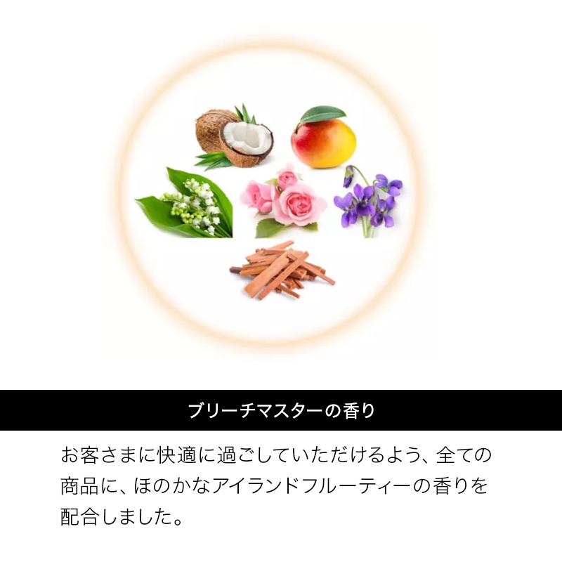 SHISEIDO（資生堂） プロフェッショナル プリミエンス ブリーチ