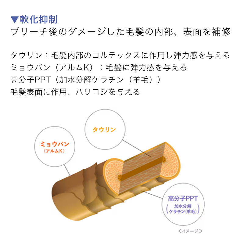 hoyu ホーユー プロマスター パワーブリーチ 500g + ケア