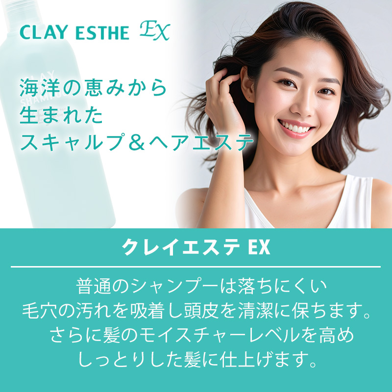 b-ex クレイエステ パック EX 500g 詰替用×2個セット|beautyexperience
