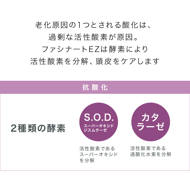 フィヨーレ ファシナート シャンプー EZ 250ml|頭皮ケア スキャルプ スカルプ ケア シャンプー フケ シャンプー フケ かゆみ 臭い スッキリ 皮脂 毛穴 |  | 02