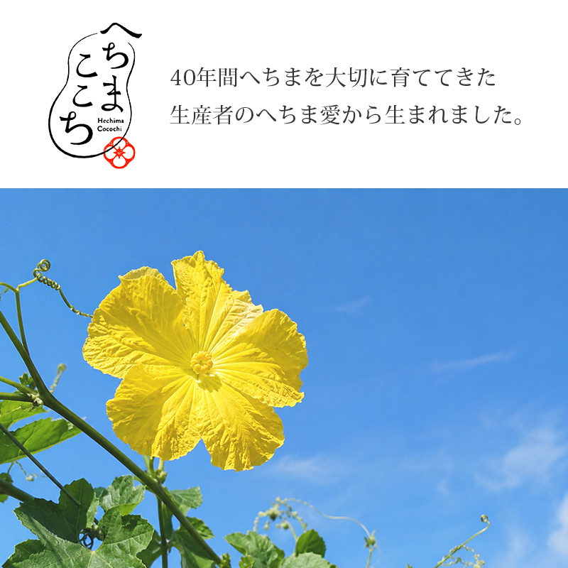 へちまここち へちまローション 120ml|hechimacocochi 化粧水 スキン