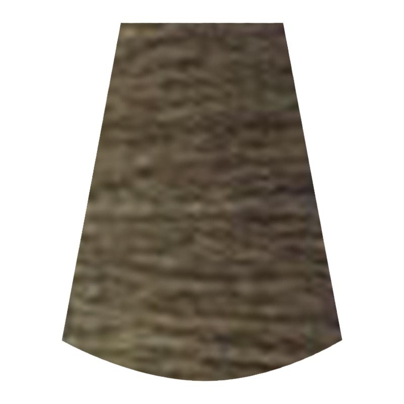 hoyu（ホーユー） プロフェッショナル プロマスター ピグメント