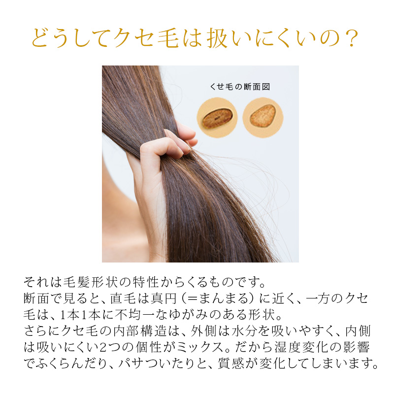 LebeL ルベル イオセラム クレンジング 2500ml (シャンプー) +