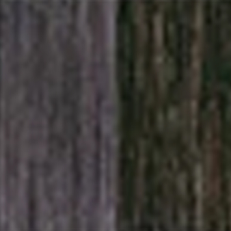 L'OREAL PROFESSIONNEL（ロレアル プロフェッショナル） ロレアル