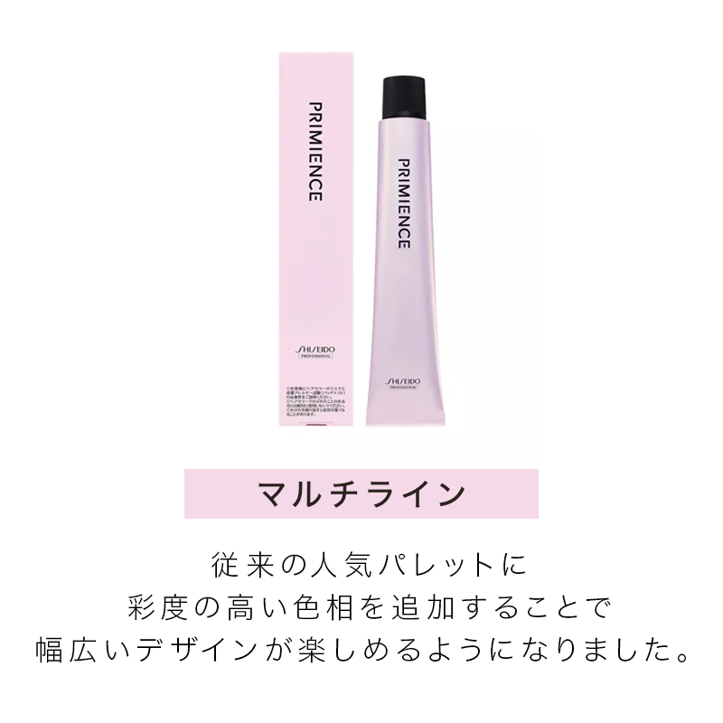 Shiseido Primience Enrich Color - WunderKult