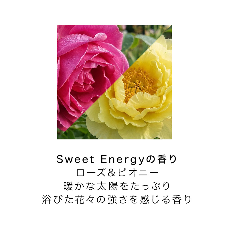 グローバル ミルボン リストラティブ シャンプー 1000ml 詰替用 ＋