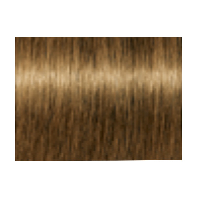 a la 1剤11本 2剤1本 Amazon | 呉竹 Zig KURECOLOR ファイン&ブラシ