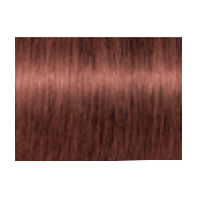 プロフェッショナル赤毛キット Igora