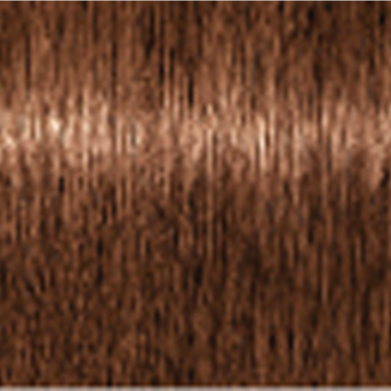 エッセンシティ シュワルツコフ テラ by 1剤 マホガニー 85g