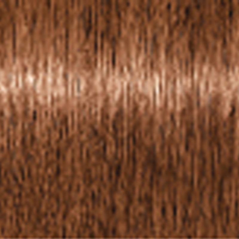 エッセンシティ シュワルツコフ テラ by 1剤 マホガニー 85g|5