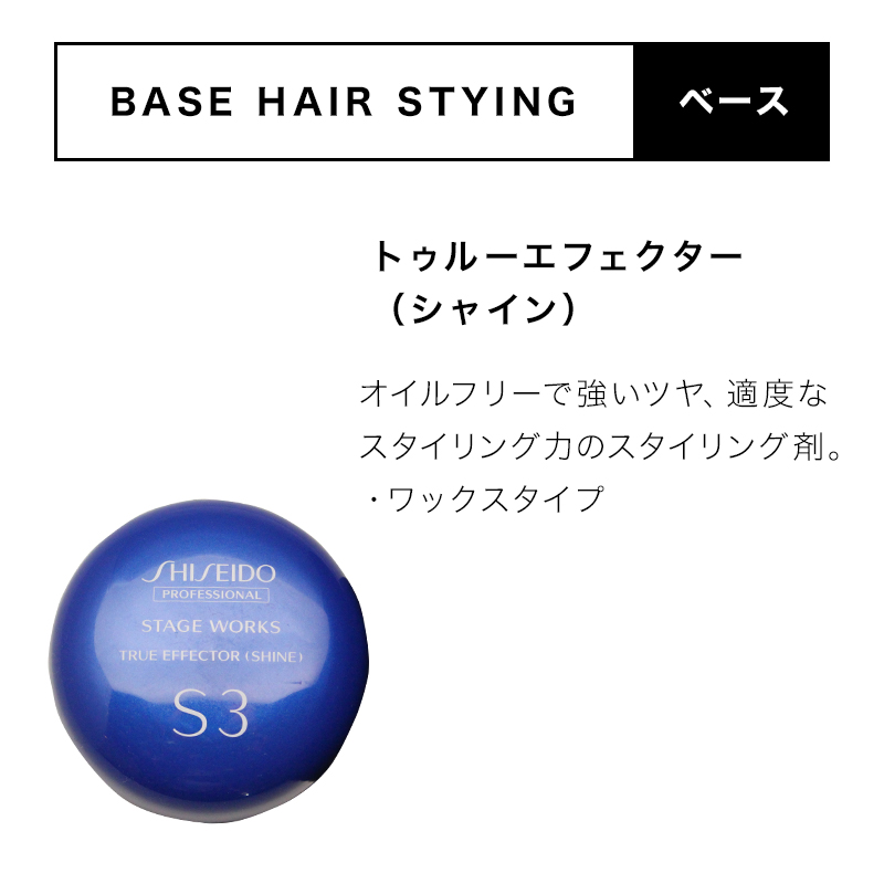 SHISEIDO STAGE WORKS まとめ売り SHISEIDO 資生堂プロフェッショナル ステージワークス トゥルー
