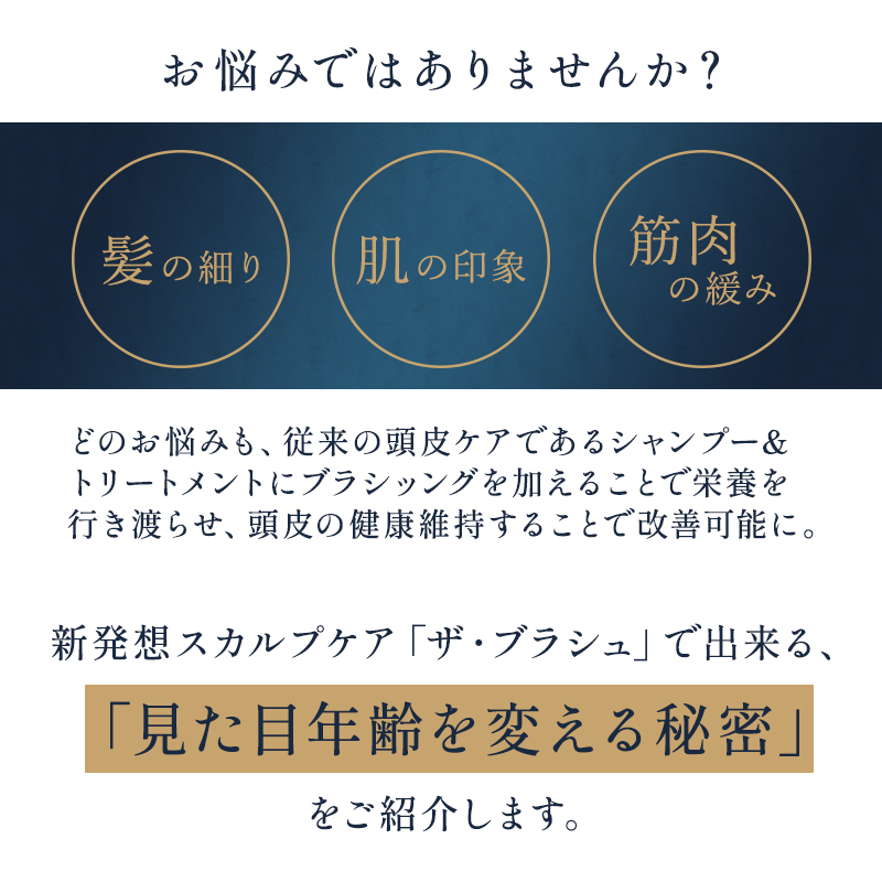 DR ドクタースカルプ ザ・ブラシュ|DR SCALP サロン専売 美容室 DR ドクタースカルプ ザ・ブラシュ|DR SCALP サロン専売 美容室