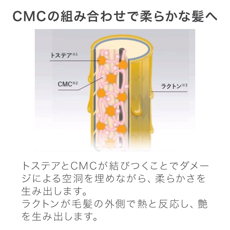 ピアセラボ エアンス ザ サロン モイストマスク 500g 詰替用