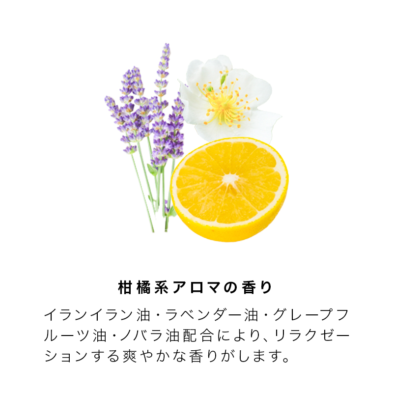 HAHONICO（ハホニコ） 正規品 ディスデモカ ヘアクレンジング 400ml