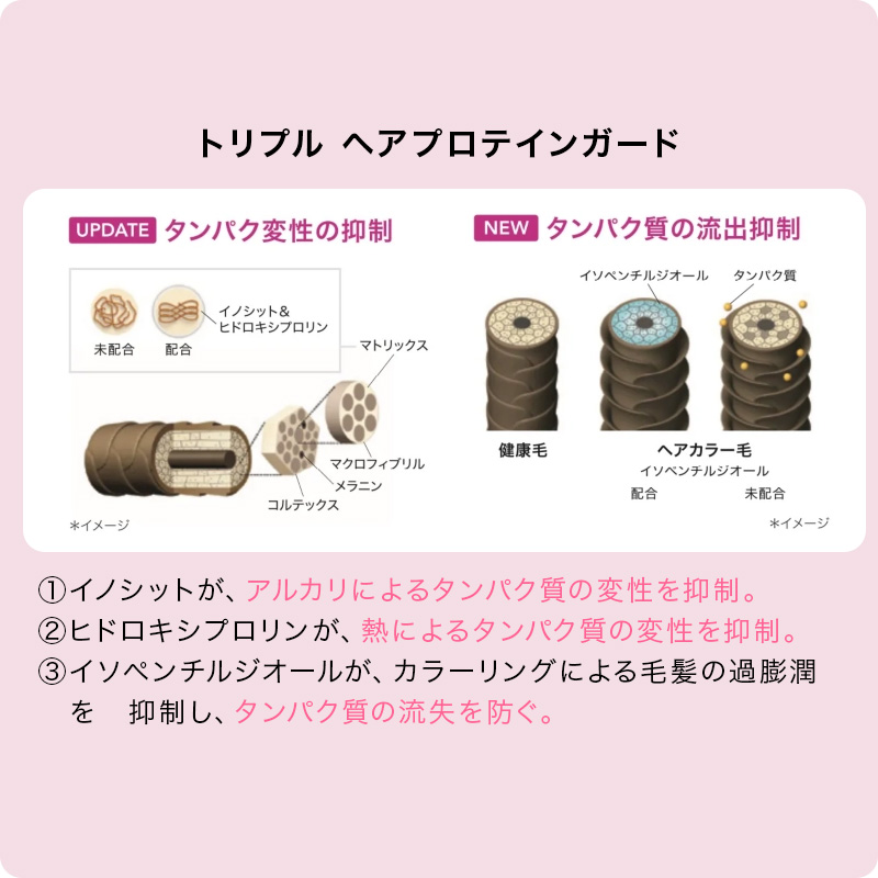 SHISEIDO PROFESSIONAL 資生堂 プロフェッショナル アルティスト