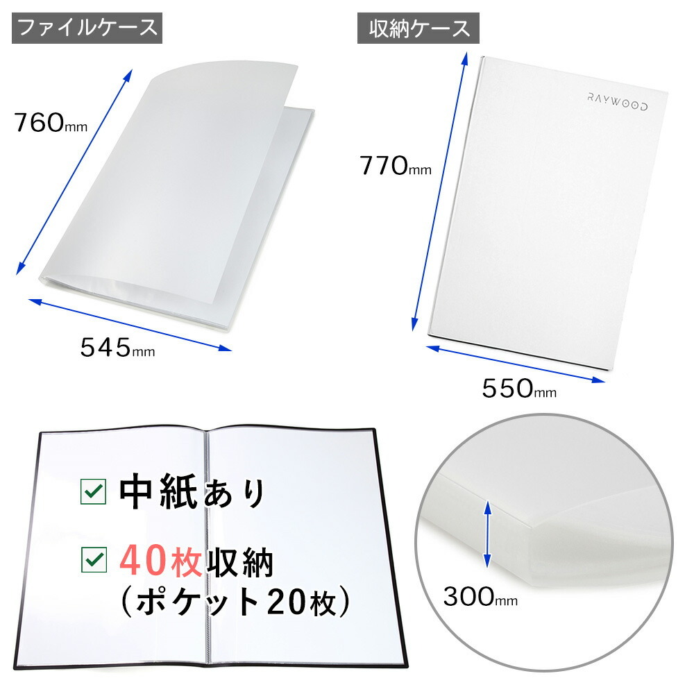 WPL JAPAN RAYWOOD B2 ポスターファイル ケース 中紙あり 保管用収納