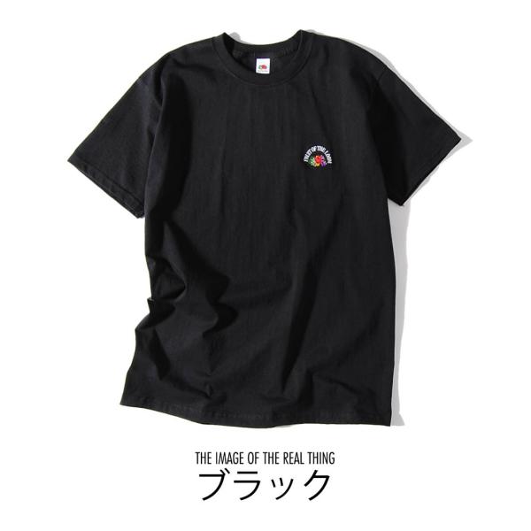 刺繍ロゴ Tシャツ fruit of the loom フルーツオブザルーム スーパープレミアムボディ ワンポイントTEE 半袖 夏物 夏服  U.S.Aコットン 綿100% 送料無料 メンズ : 0222-513fl-c : Re-AP - 通販 - Yahoo!ショッピング