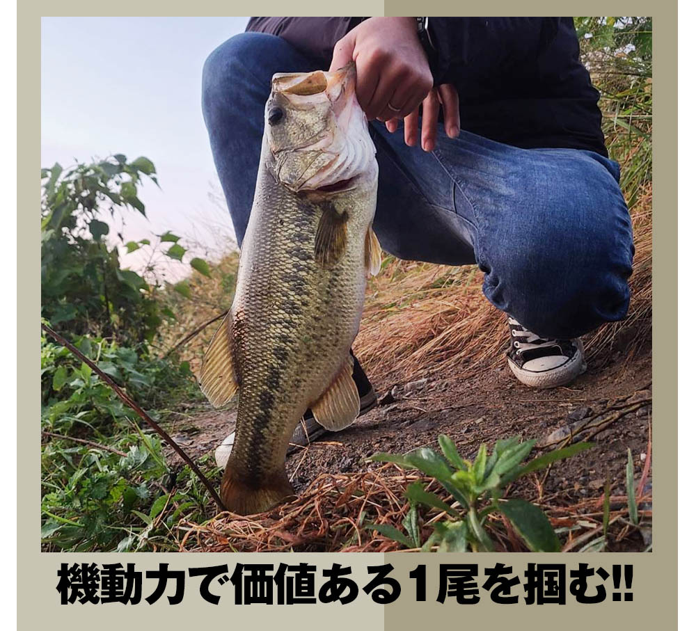 DeepRangebybassmania】BMサークルロゴナイロンパンツ［NVY