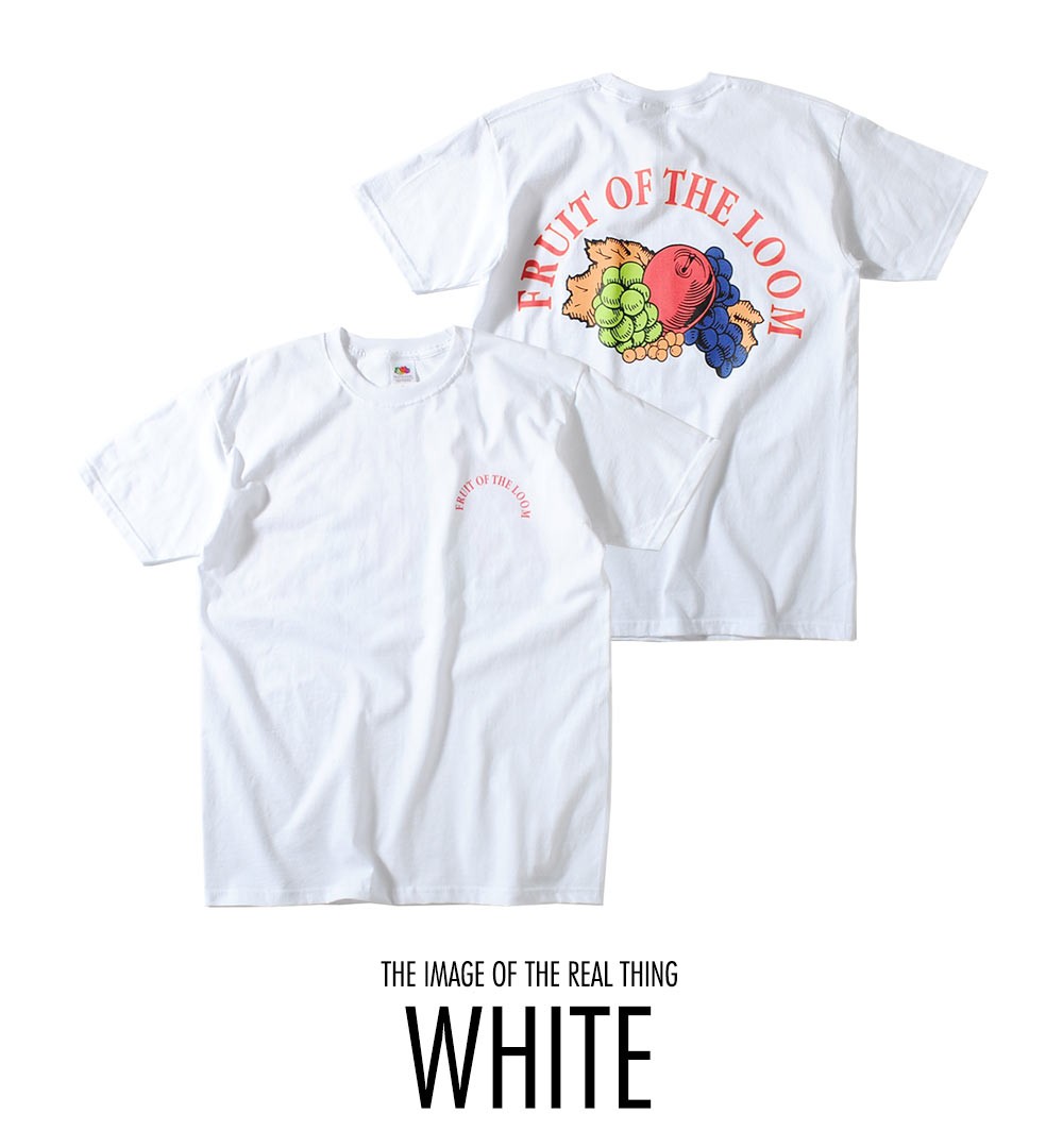 激レアフルーツオブザルームiExplore tee バックプリントアメリカ