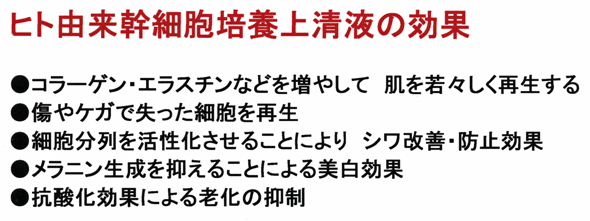 ｓｃｊ