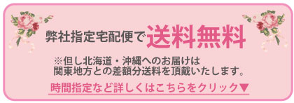 弊社指定便で送料無料