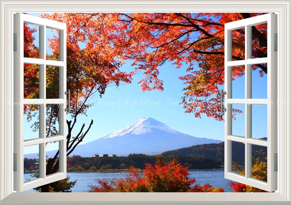 秋の紅葉のアートポスター:autumn_leaves_dd34 通販