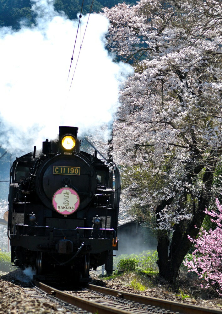 絵画風 壁紙ポスター (はがせるシール式) 蒸気機関車 SL C11 SL