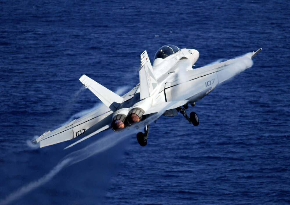 絵画風 壁紙ポスター (はがせるシール式) 戦闘機 F/A-18E