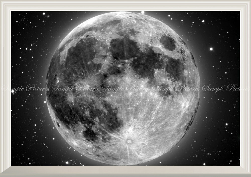 THE MOON 月面図 アルミ枠入り 絵画風 壁紙ポスター (はがせるシール式) 月 Moon ムーン 地球の衛星