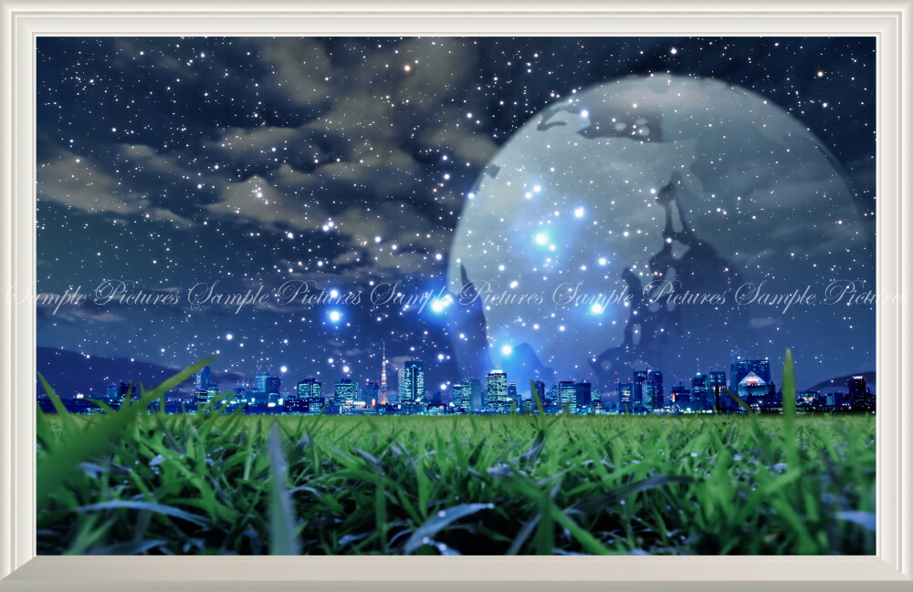 sffl-001nw_cr.jpg