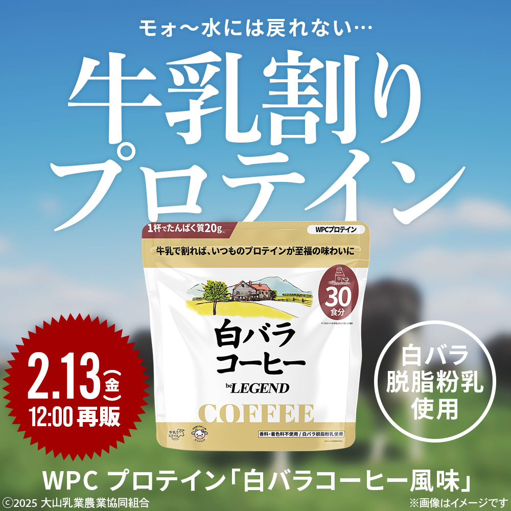 LINE新規登録で最大1000円オフ WPC プロテイン 白バラコーヒー風味 < 30食分 600g > ビーレジェンド ホエイプロテイン 関連画像1