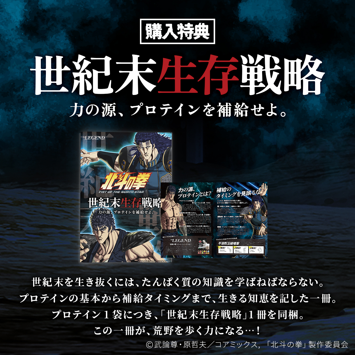 LINE新規登録で最大1000円オフ【6月26日12時販売開始】ビーレジェンド WPC プロテイン 北斗の拳 -FIST OF THE NORTH STAR- 世紀末チョコレート風味 600g 関連画像4