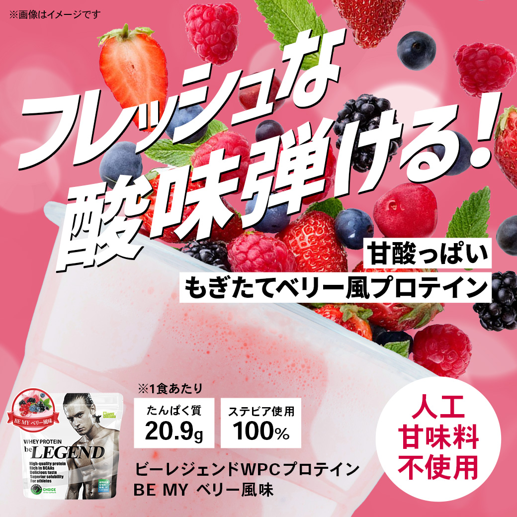 LINE新規登録で最大1000円オフ ホエイプロテイン ガトーショコラ ベリー キウイ 900g 人工甘味料不使用 国内製造 関連画像2