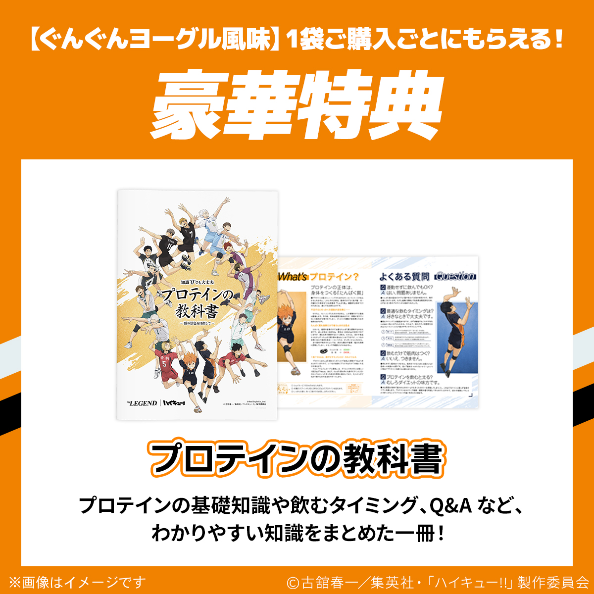 LINE新規登録で最大1000円オフ ビーレジェンド WPC プロテイン ハイキュー!! ぐんぐんヨーグル風味 300g 関連画像3