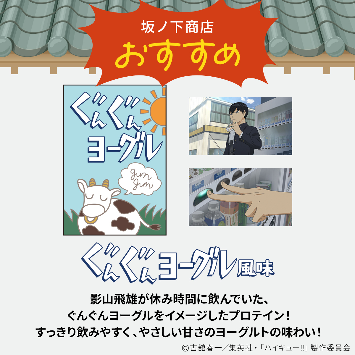 LINE新規登録で最大1000円オフ ビーレジェンド WPC プロテイン ハイキュー!! ぐんぐんヨーグル風味 300g 関連画像4