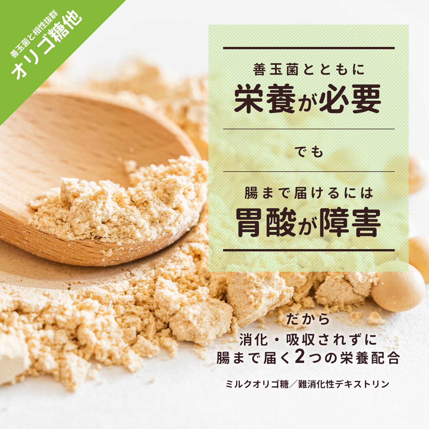 ポイント10倍還元　10日9:59迄　サプリメント リアファイバー グレープフルーツ風味　ピーチ風味 300g (食物繊維 乳酸菌 ビフィズス菌 善玉菌 ミルクオリゴ糖)｜real-style｜12