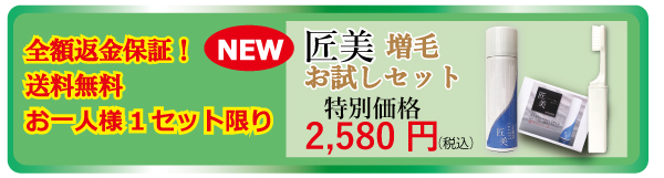 増毛 円脱 薄毛シート状植毛 白髪10％、