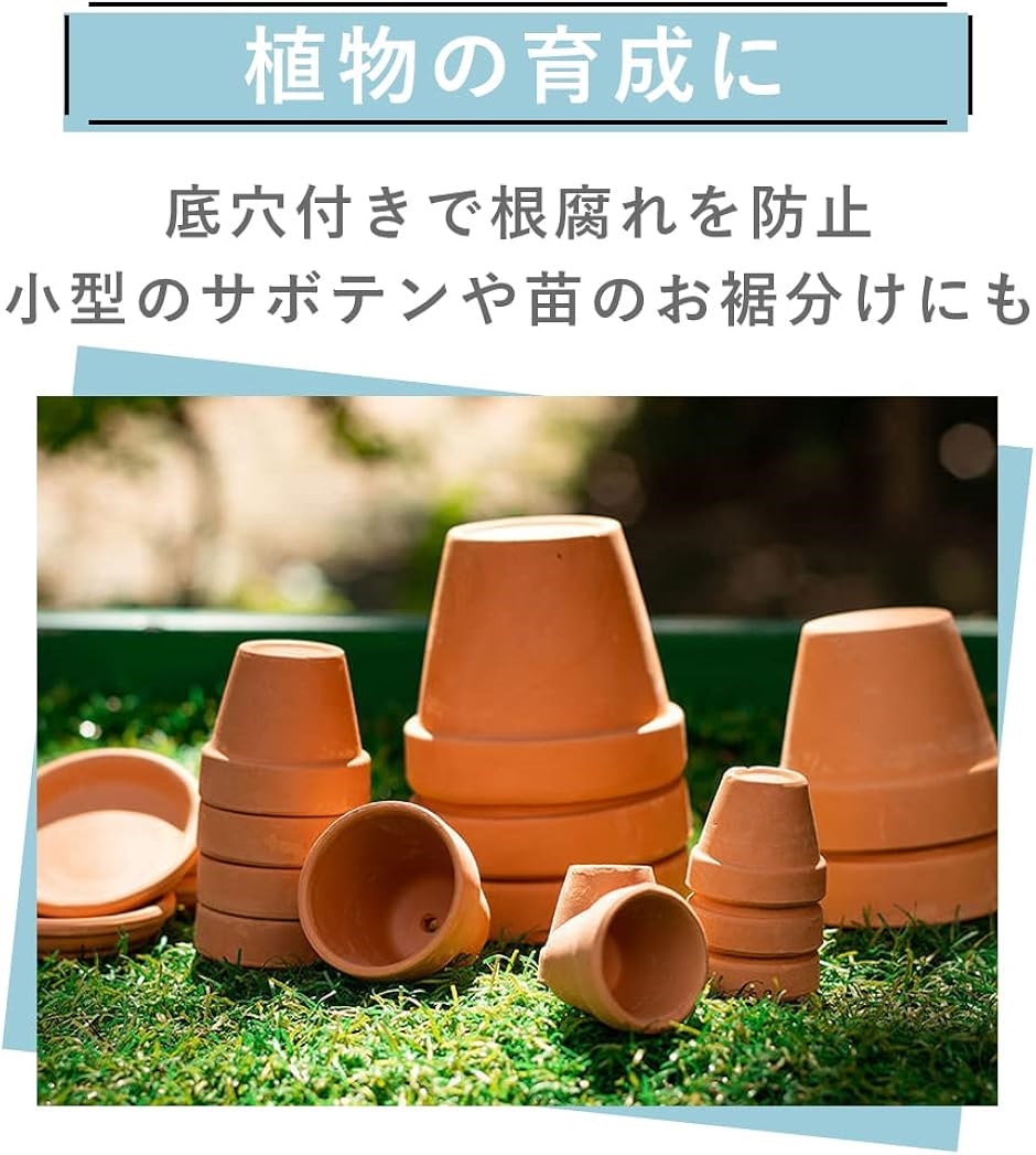 植木鉢 陶器鉢 多肉植物鉢 観葉植物 ミニ フラワーポット サボテン 10