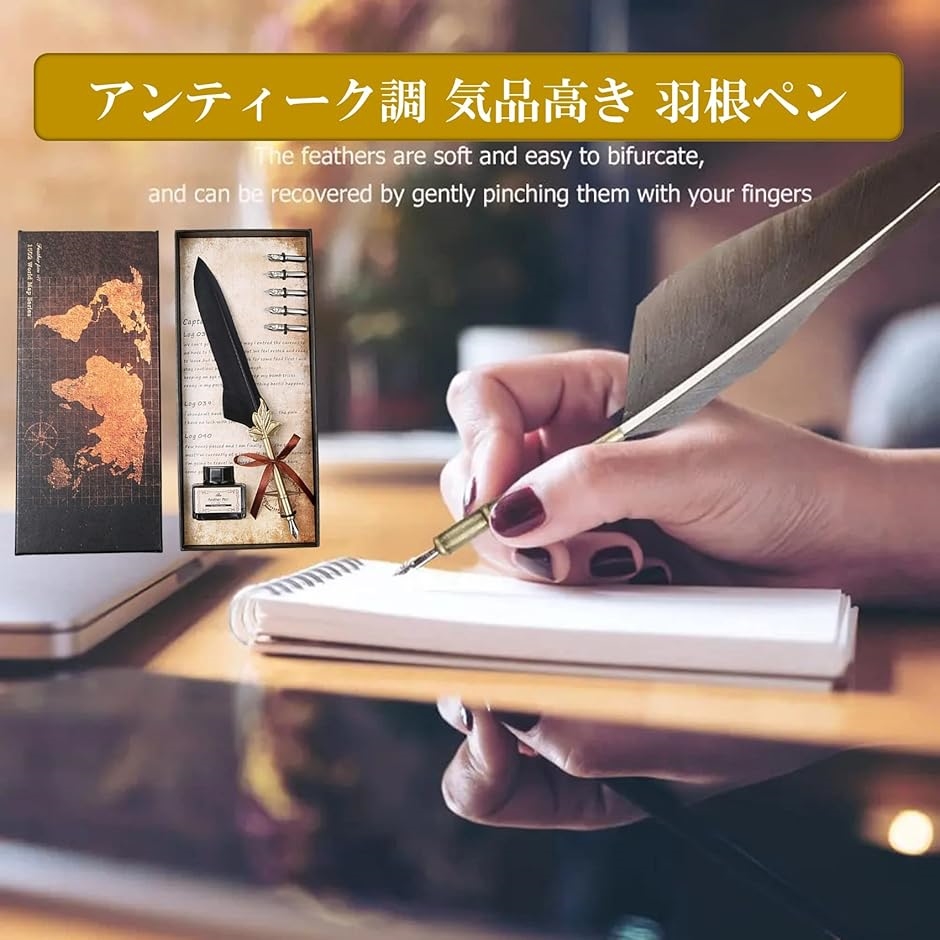 羽根ペン アンティーク 万年筆 インクボトル セット 羽ペン フェザー