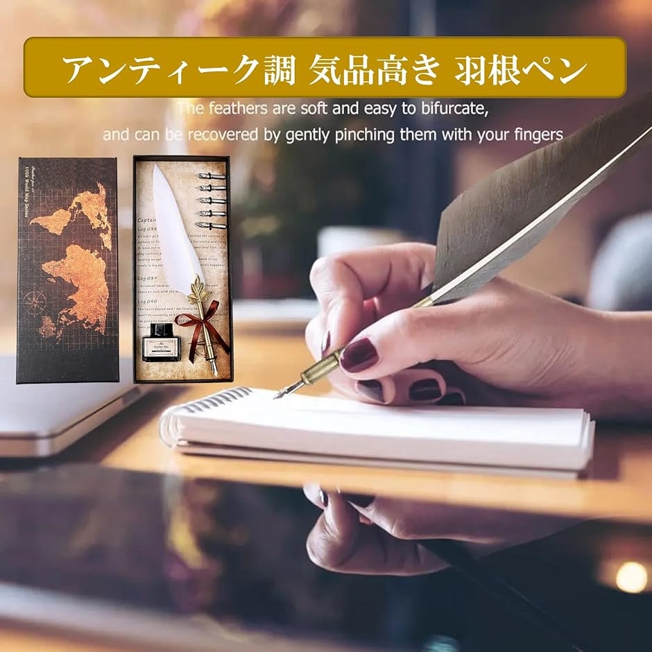 羽根ペン アンティーク 万年筆 インクボトル セット 羽ペン フェザー