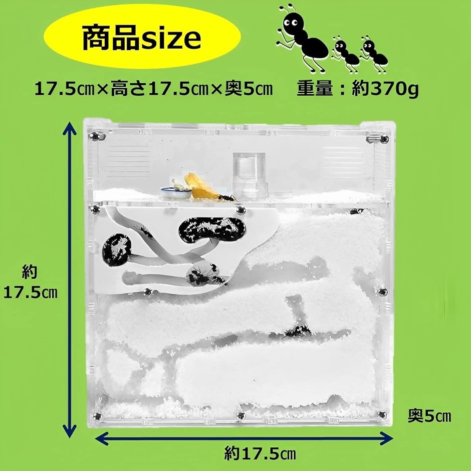アリの巣 観察 キット 砂は別売 蟻 アリ飼育キット 飼育ケース 飼育