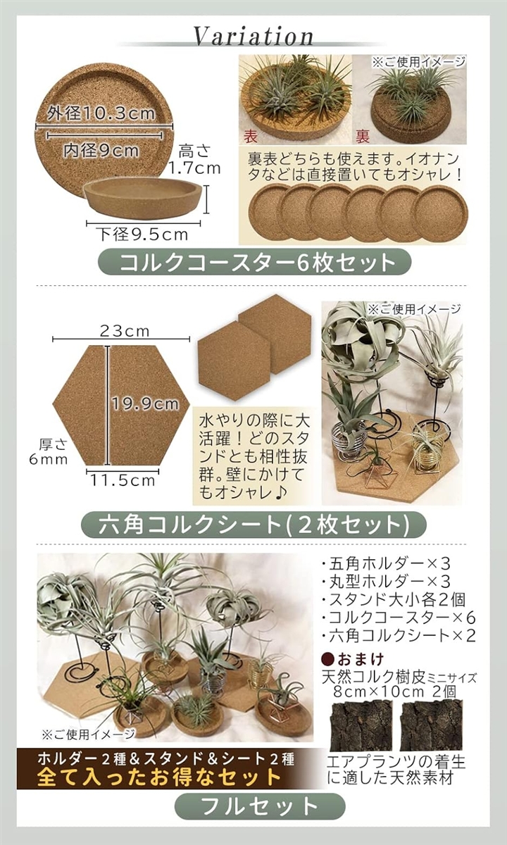 エアプランツ ホルダー スタンド 観葉植物 本物 チランジア コルク へ