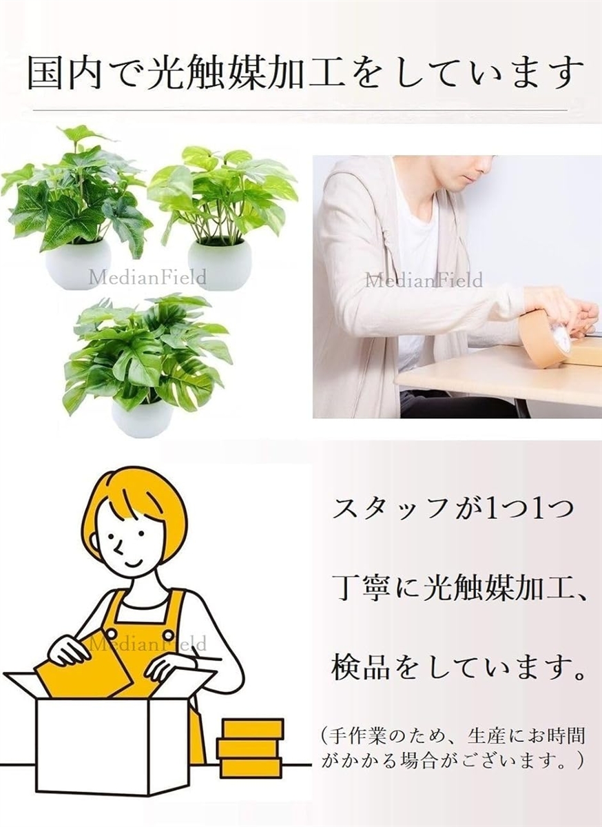 光触媒 観葉植物 鉢植え 消臭 抗菌 フェイク...の詳細画像1