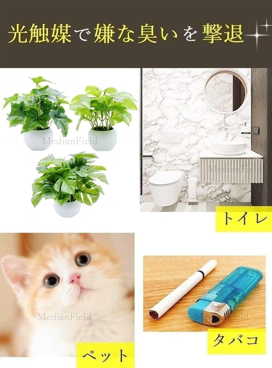 光触媒 観葉植物 鉢植え 消臭 抗菌 フェイク...の詳細画像4