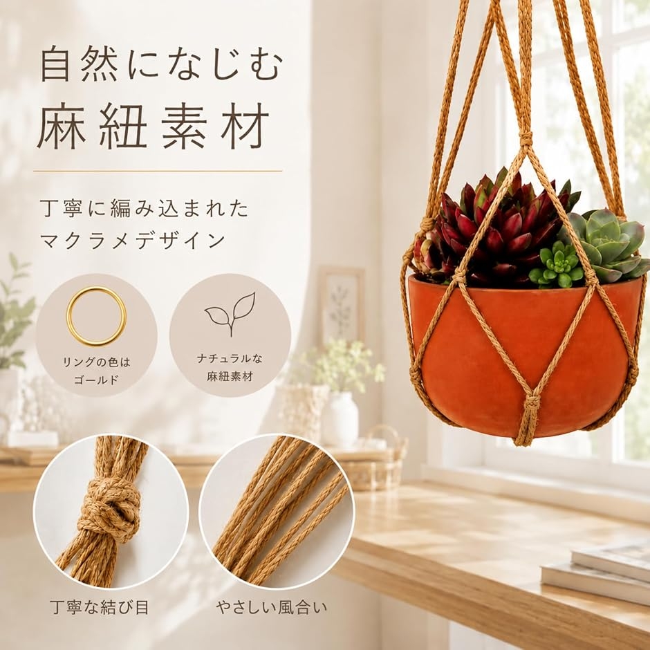 プラントハンガー ハンギングプランター 6本セット 観葉植物 鉢 吊り
