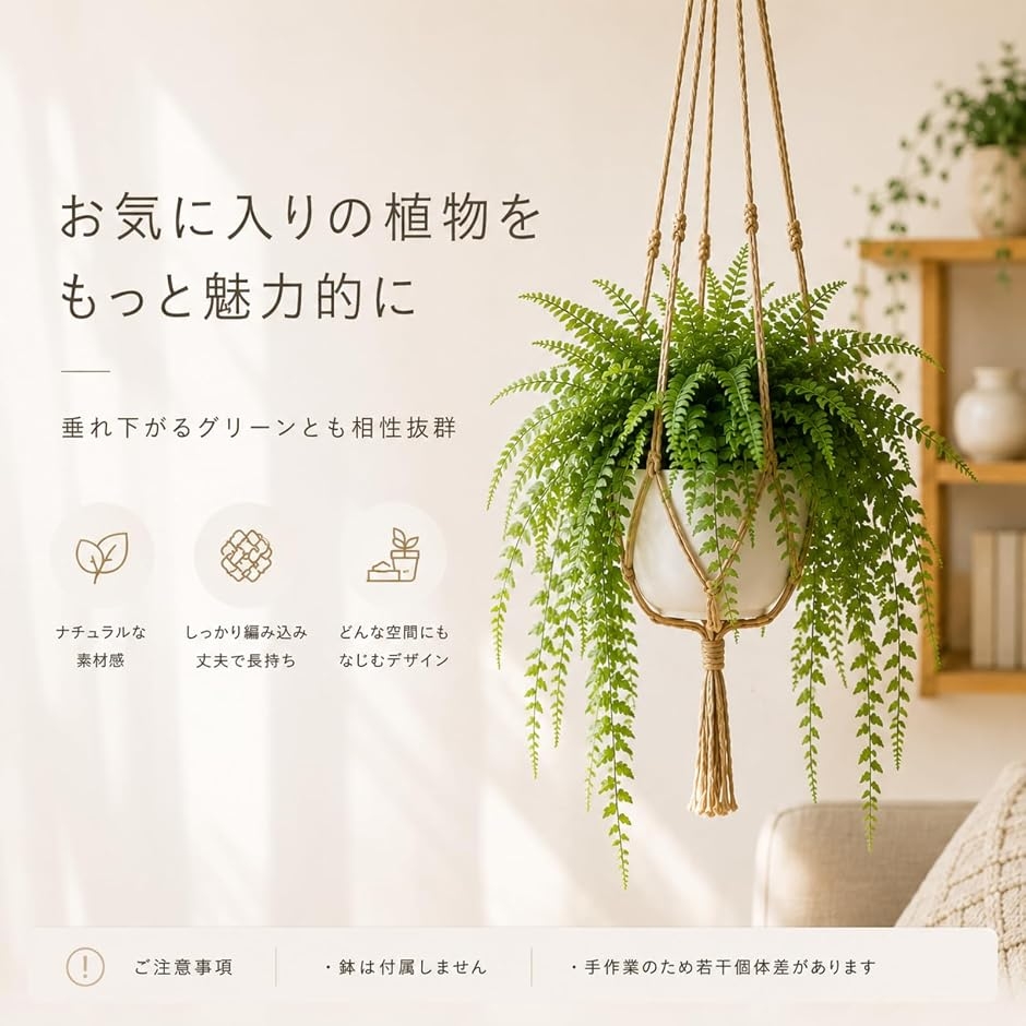 プラントハンガー ハンギングプランター 6本セット 観葉植物 鉢 吊り