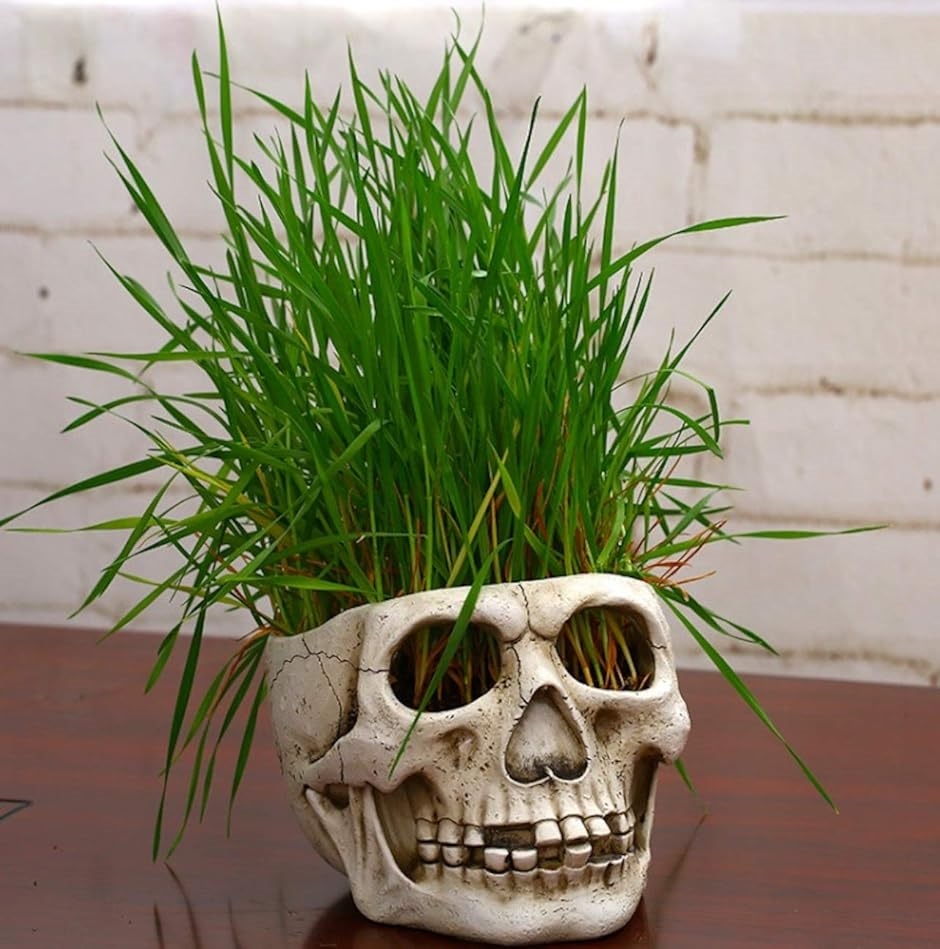 アダチマリ　ドクロ植木鉢 ドクロ 鉢のおすすめ人気商品一覧 通販 - Yahoo!ショッピング