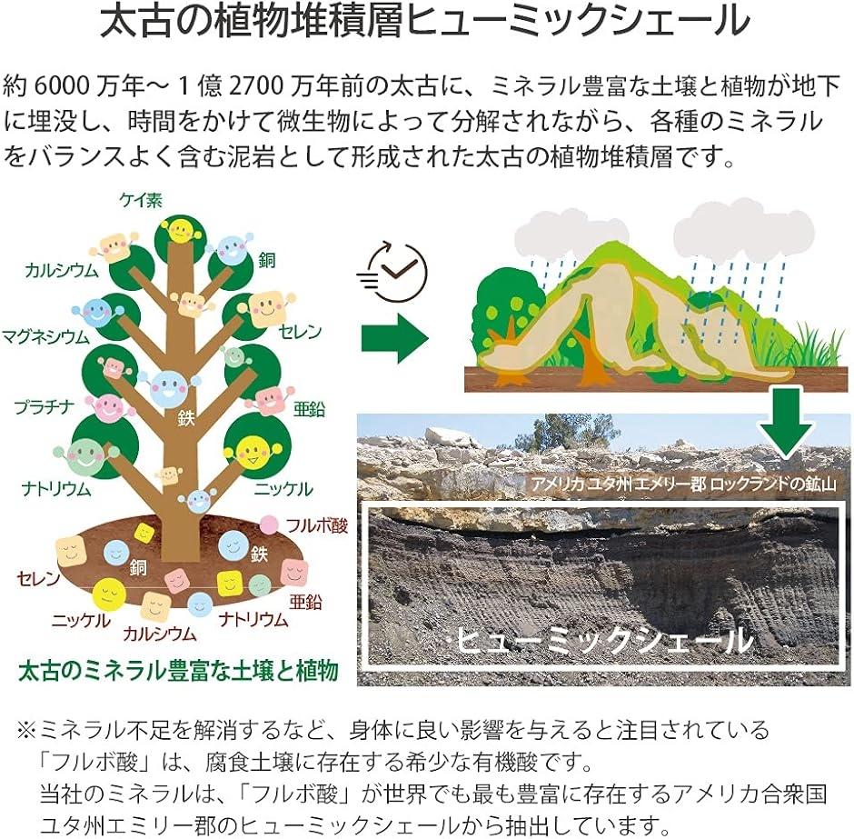 EONiCA 植物ミネラル水 1000mL 植物性ミネラル 希釈用 70種類以上 高