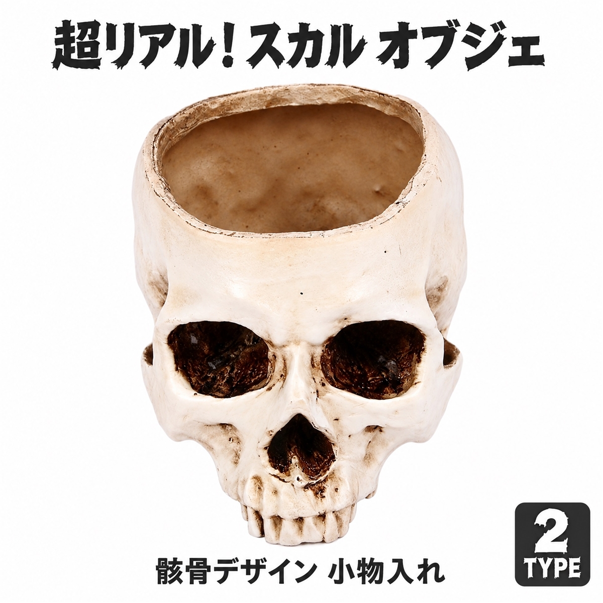ガラ空き ドクロ 小物入れ 卓上 リアル 頭蓋骨 骸骨 ガイコツ おしゃれ